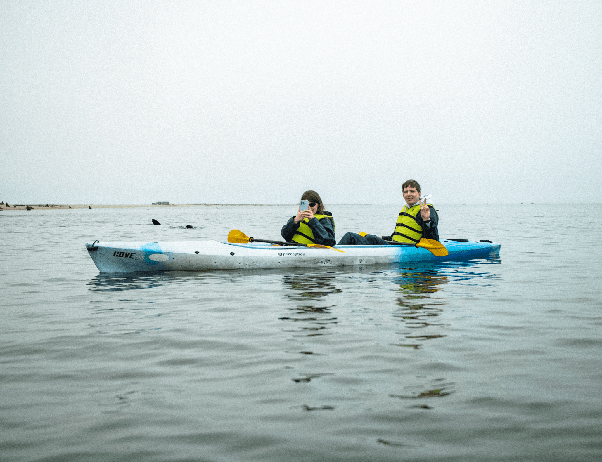 Two people in a tandem kayak on calm water, wearing yellow life jackets near seals.