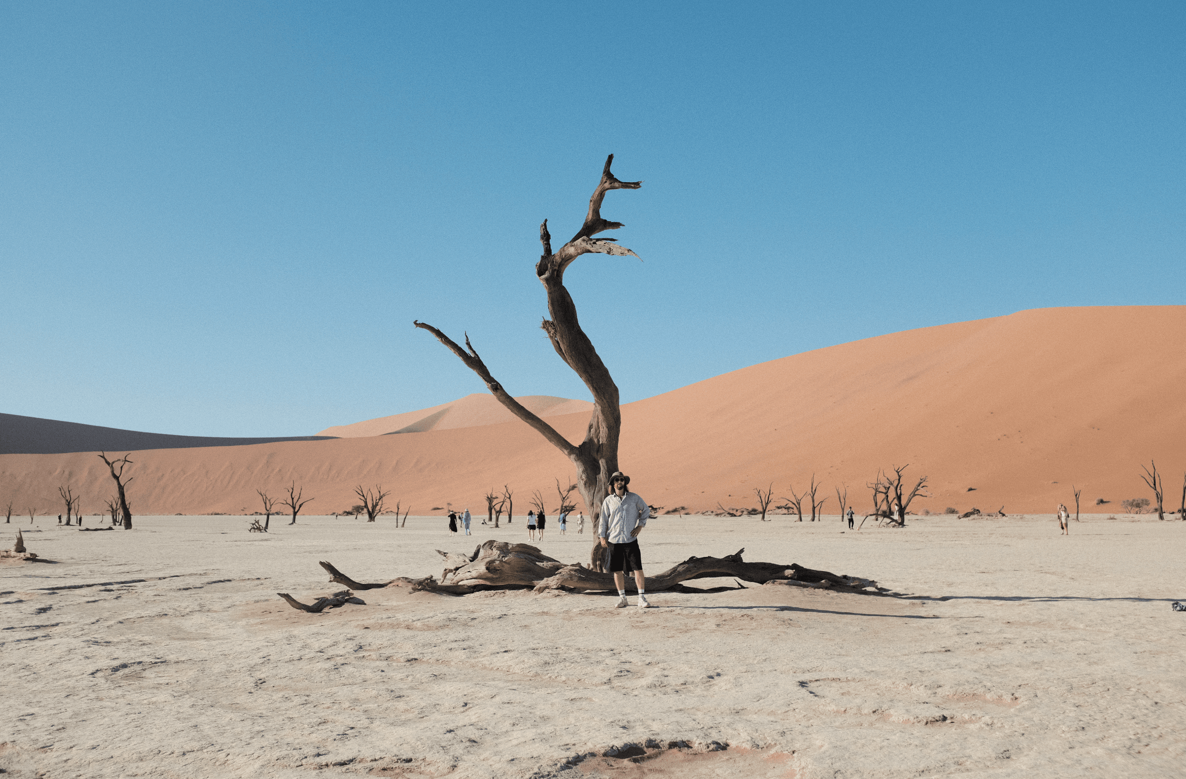 Man standing before a gnarled dead tree in Deadvlei with red sand dunes.