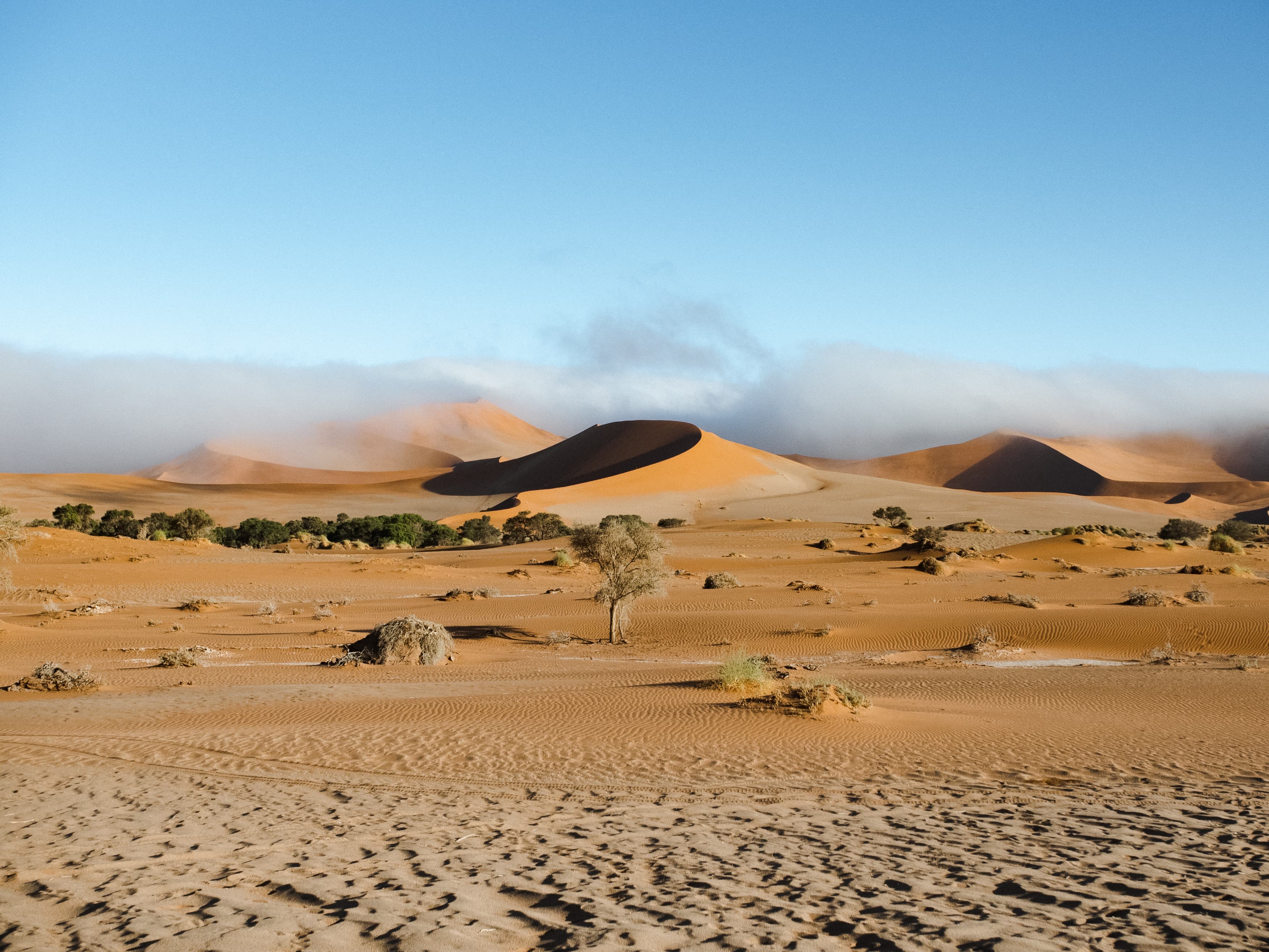 Low mist rolls over orange sand dunes in a desert landscape with scattered green shrubs.