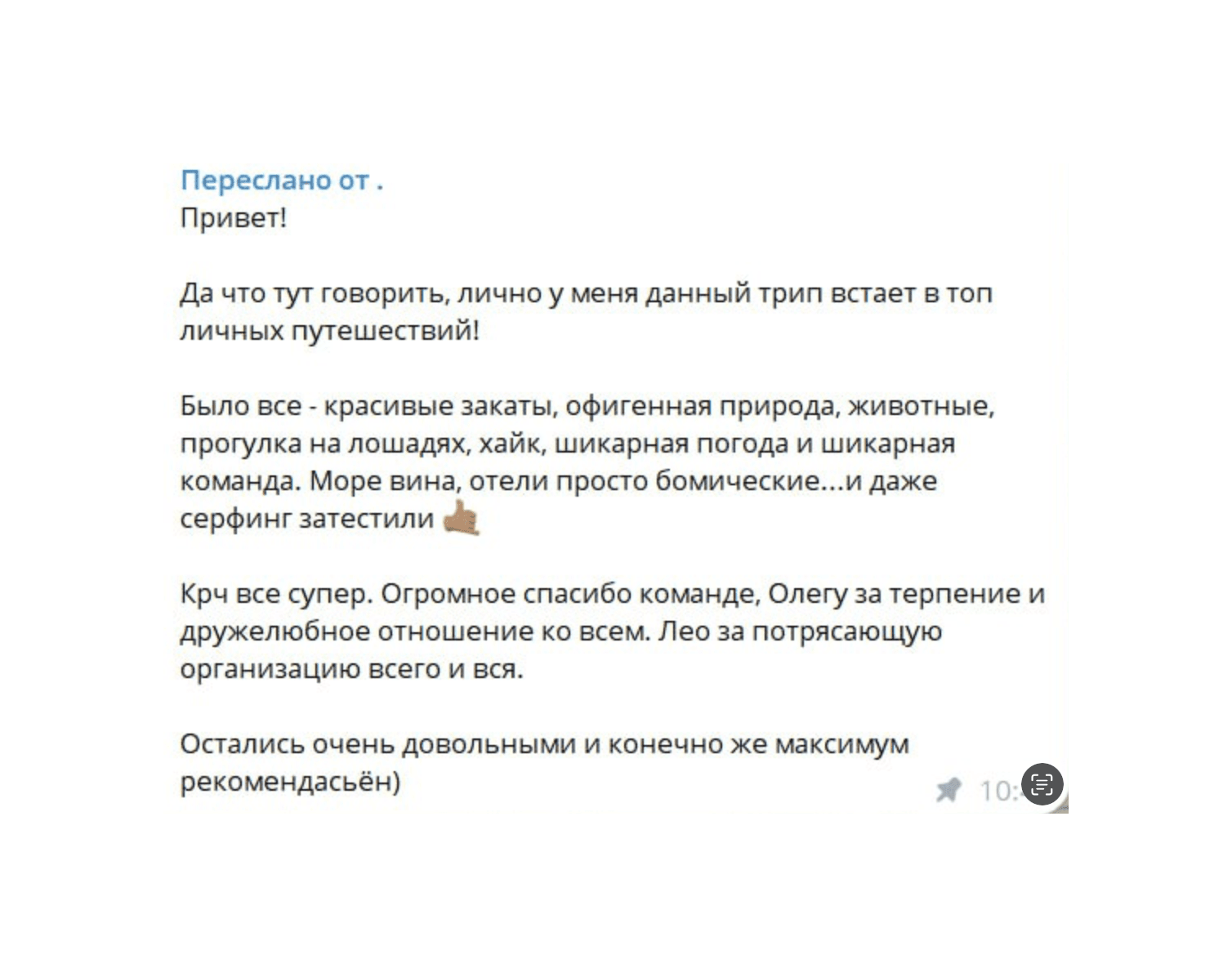 Screenshot of a Russian text message praising a group travel experience and its organizers.